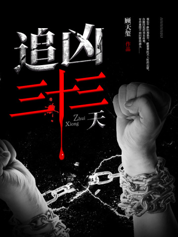 追凶十三年电影